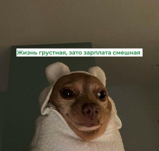 Забавные картинки, шутки из этих ваших интернетов