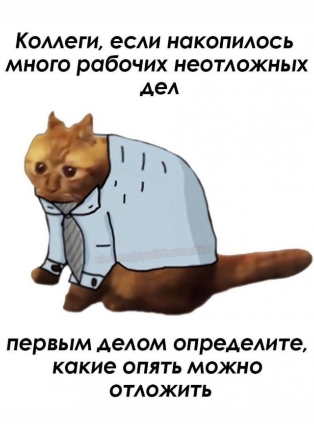 Нуштош 25.11.2024