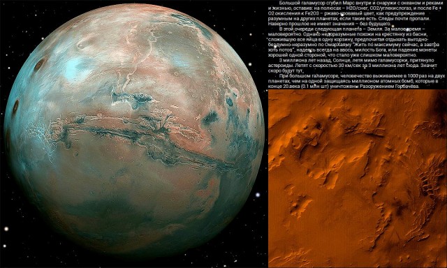 Белые начинают и проигрывают