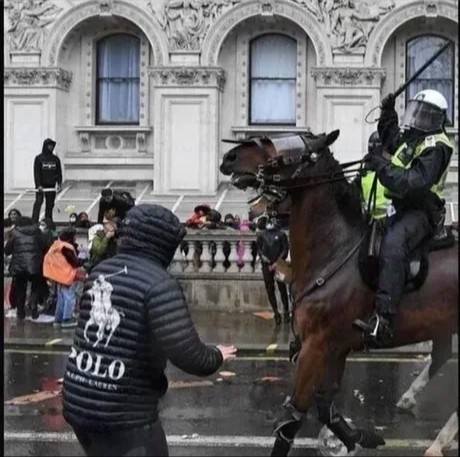 Ну вот мы и встретились⁠⁠