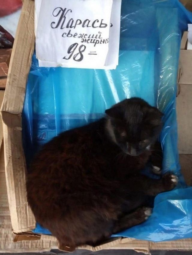 У меня муж дома