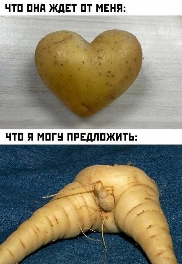 Так себе картинки 28.03.25