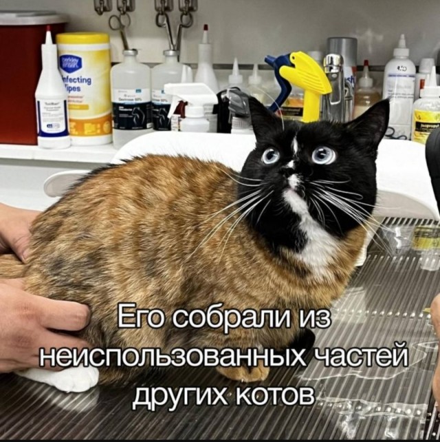 Так себе картинки 07.07.25