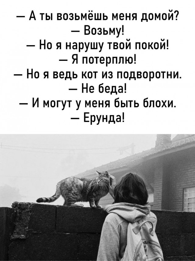 Так себе картинки 10.07.25