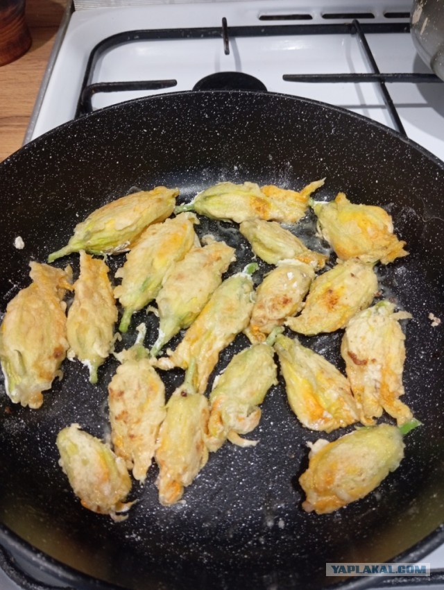 Цветки цуккини с сырно-креветочной начинкой