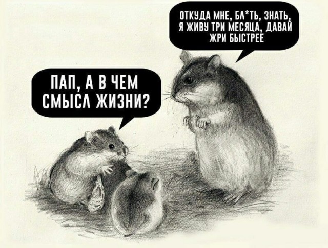 Картинки для деградации 3 (разной степени свежести)