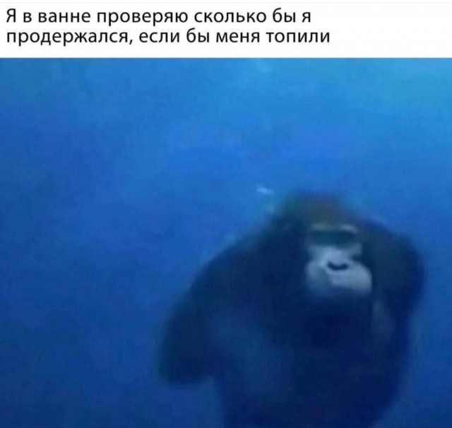 Картинки для деградации-6 (разной степени свежести)