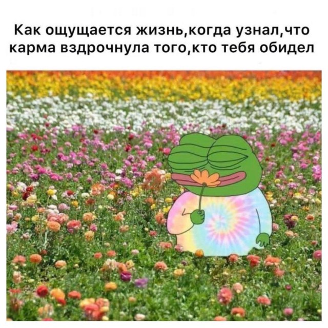 Мощный взрыв разорвал на части завод по производству топливных гранул в США