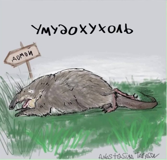 Кто вы в пятницу?!