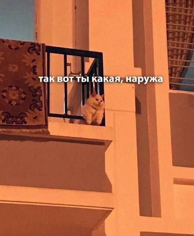 Картинки с надписями