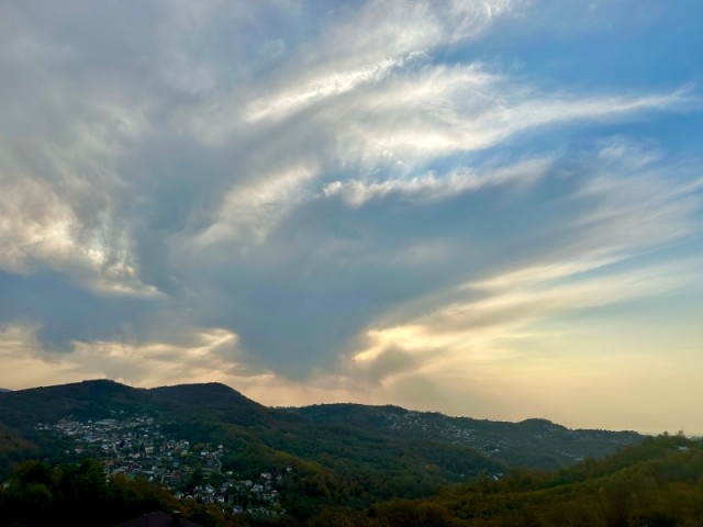 Индюшкины фрикадельки с щавелем. Суп? Или щи зелёные?