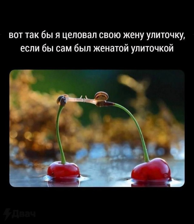 Четверговые картинки