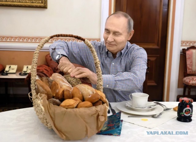 Польский блогер отопил дом пончиками, потому что это выгоднее, чем топить дровами