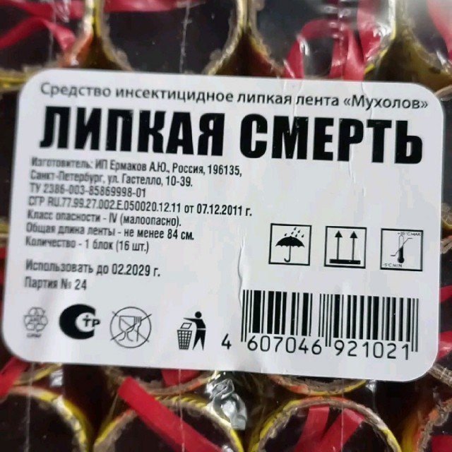 Воскресные картинки