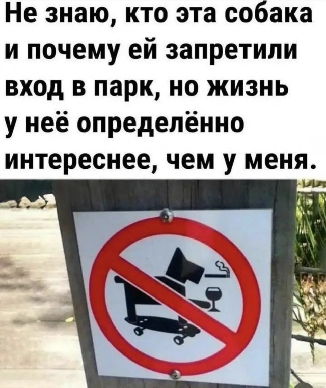 Веселые картинки в понедельник (01.06)