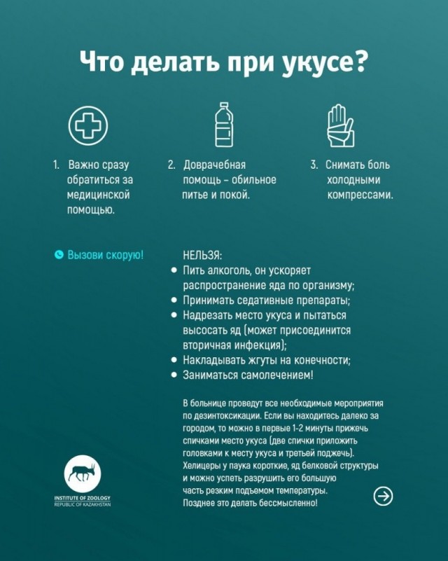 Внимание, Москва. Этим летом к нам придёт смерть на восьми лапах