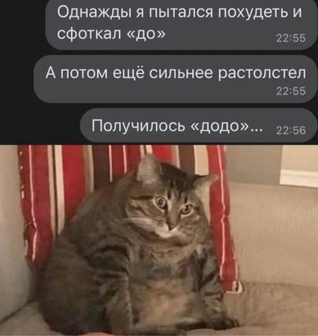 Картинки для деградации 275 (разной степени свежести)