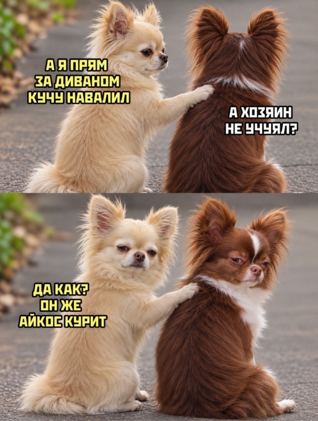 Деградация