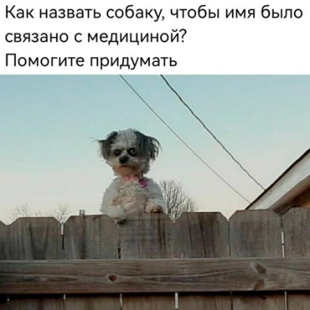 Картинки для деградации 307 (разной степени свежести)