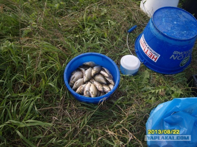 Поехали за грибами, приехали с карасями.