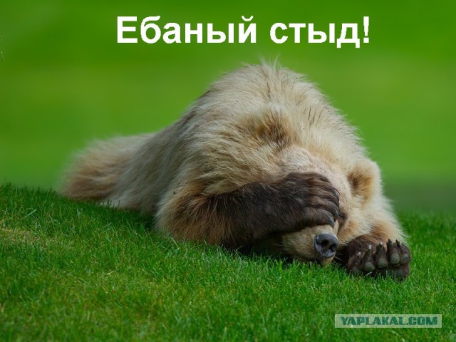 Речь Дарта Алексеевича Вейдера
