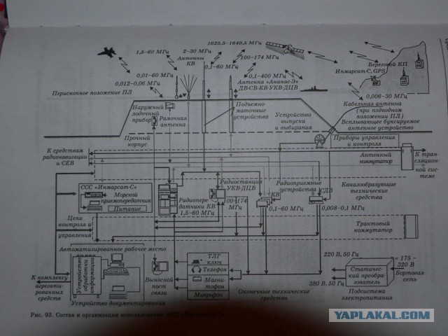 В Австралии засекли загадочного пожирателя акул.
