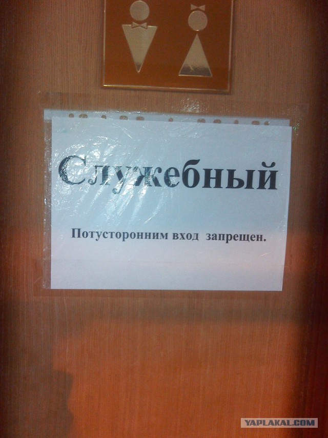Картинки с утра.