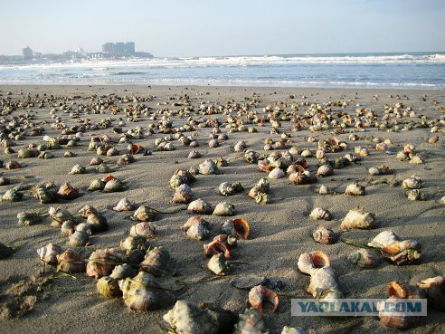 у нас штормило