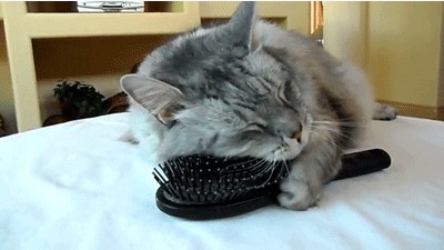 Подборка прикльных GIF