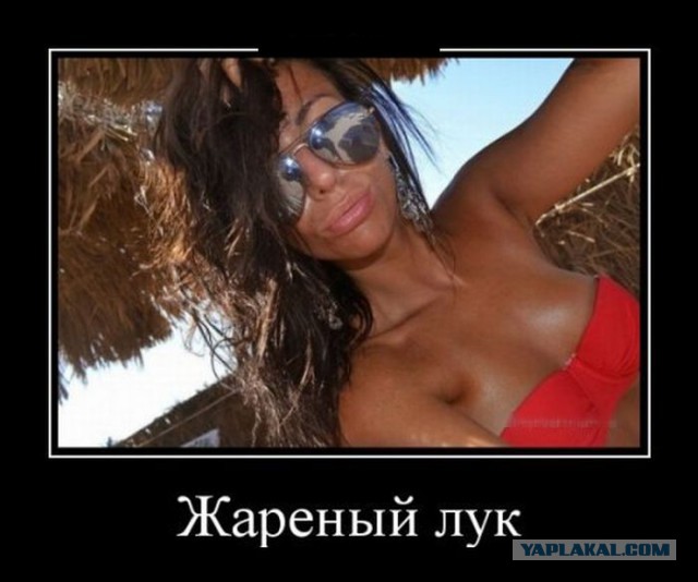 Подборка веселых картинок