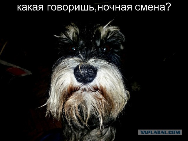 Ночная смена