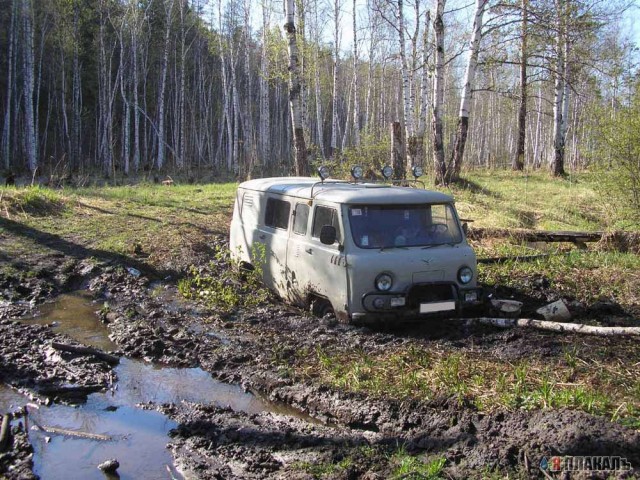 Женское счастье