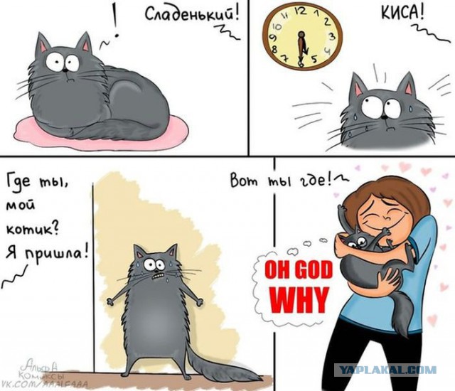 Абсурдный юмор ч.7