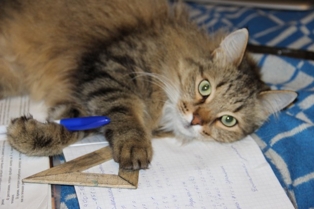 Воскресная подборка картинок