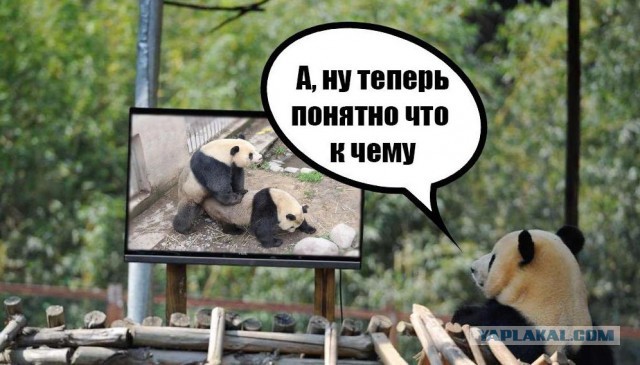Ребенок смотрит порно! Как поступить?