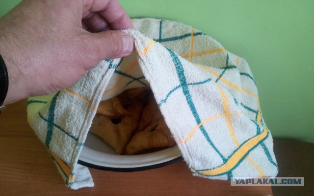 Фастфуд-пикник на день рождения ЯПа