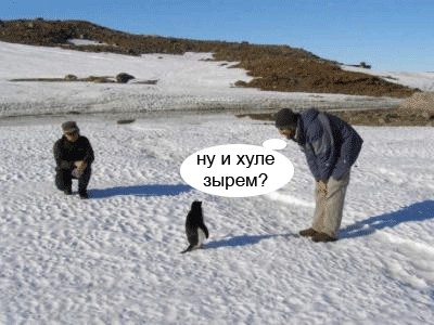 Фотожаба: Полярники окружают!