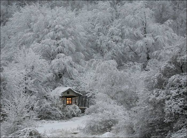 Картинки для отдыха глаз