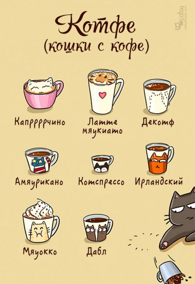 Как меняется жизнь, если у вас завелся кот