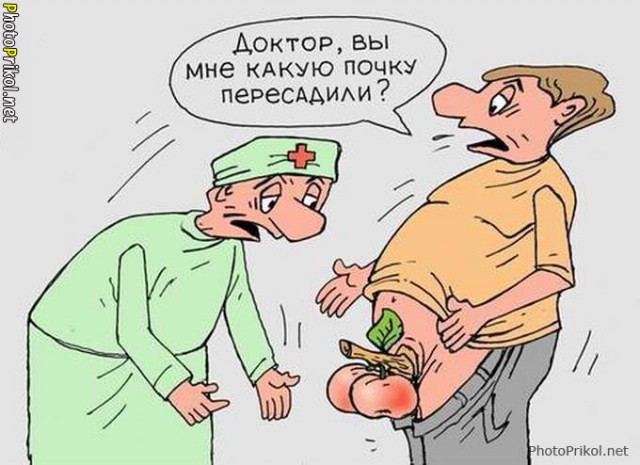 Вечер трудного дня...