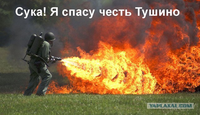 "Ты опозорила наше Тушино!" - девушка жестоко избила девушку в Москве