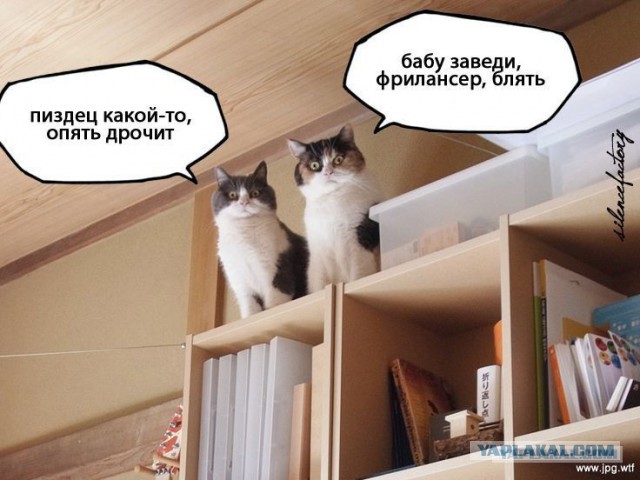 Мизэнтропия растет...