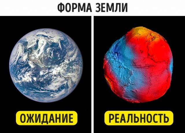 12 доказательств того, что наша жизнь — ложь