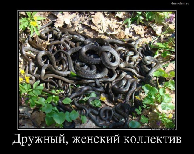 В России впервые появятся военные лётчицы