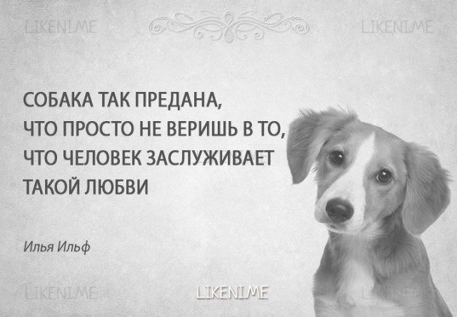 Пёс