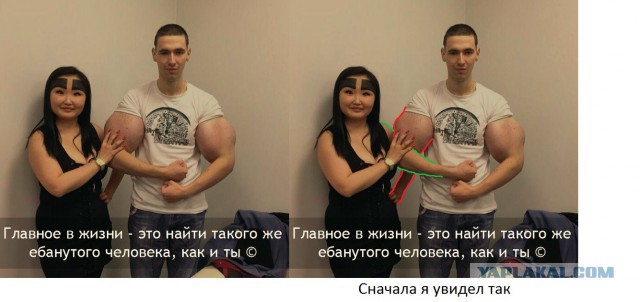 Почему бы не подеградировать, коллеги?