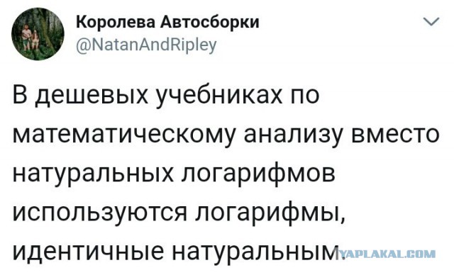 Коллекция математических анекдотов