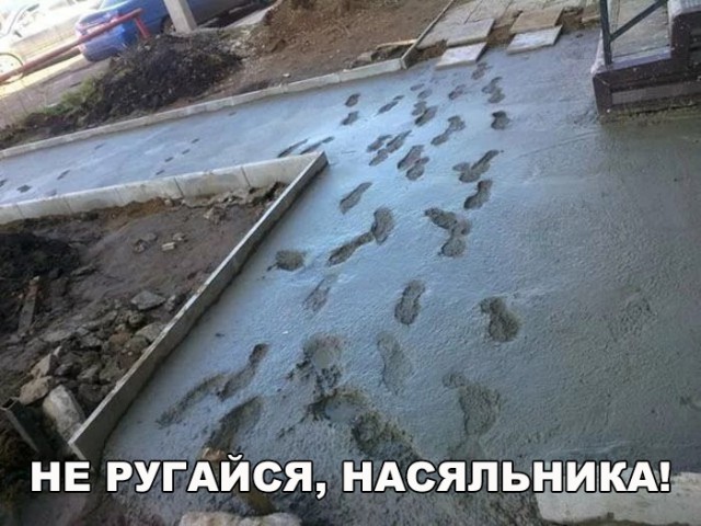 Прикольные картинки обо всем