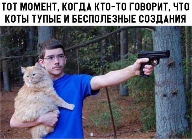 Немного картинок в эту субботу