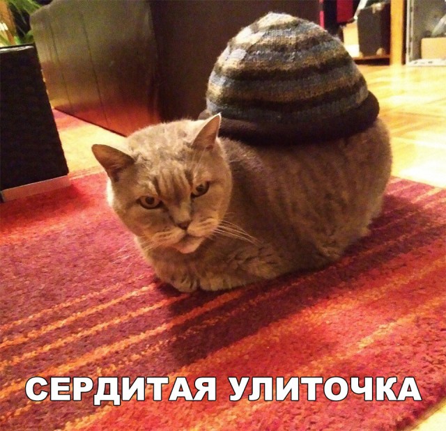Нестандартный юмор